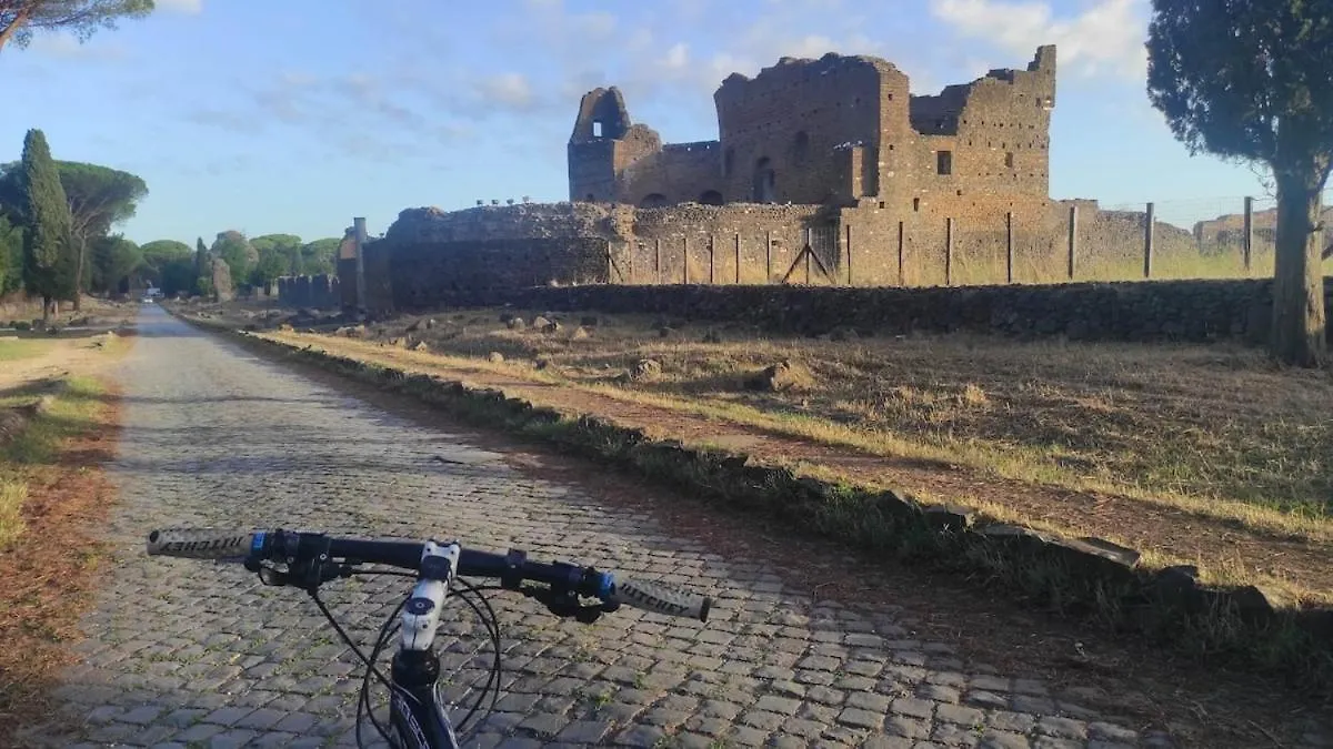 Sunflower Terrace - Rome And Castelli Romani Marino